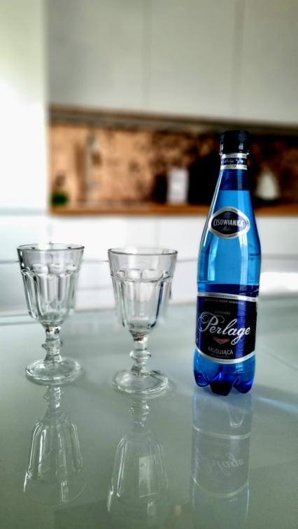Apartament na Kaszubach Koscierzyna Bagian luar foto