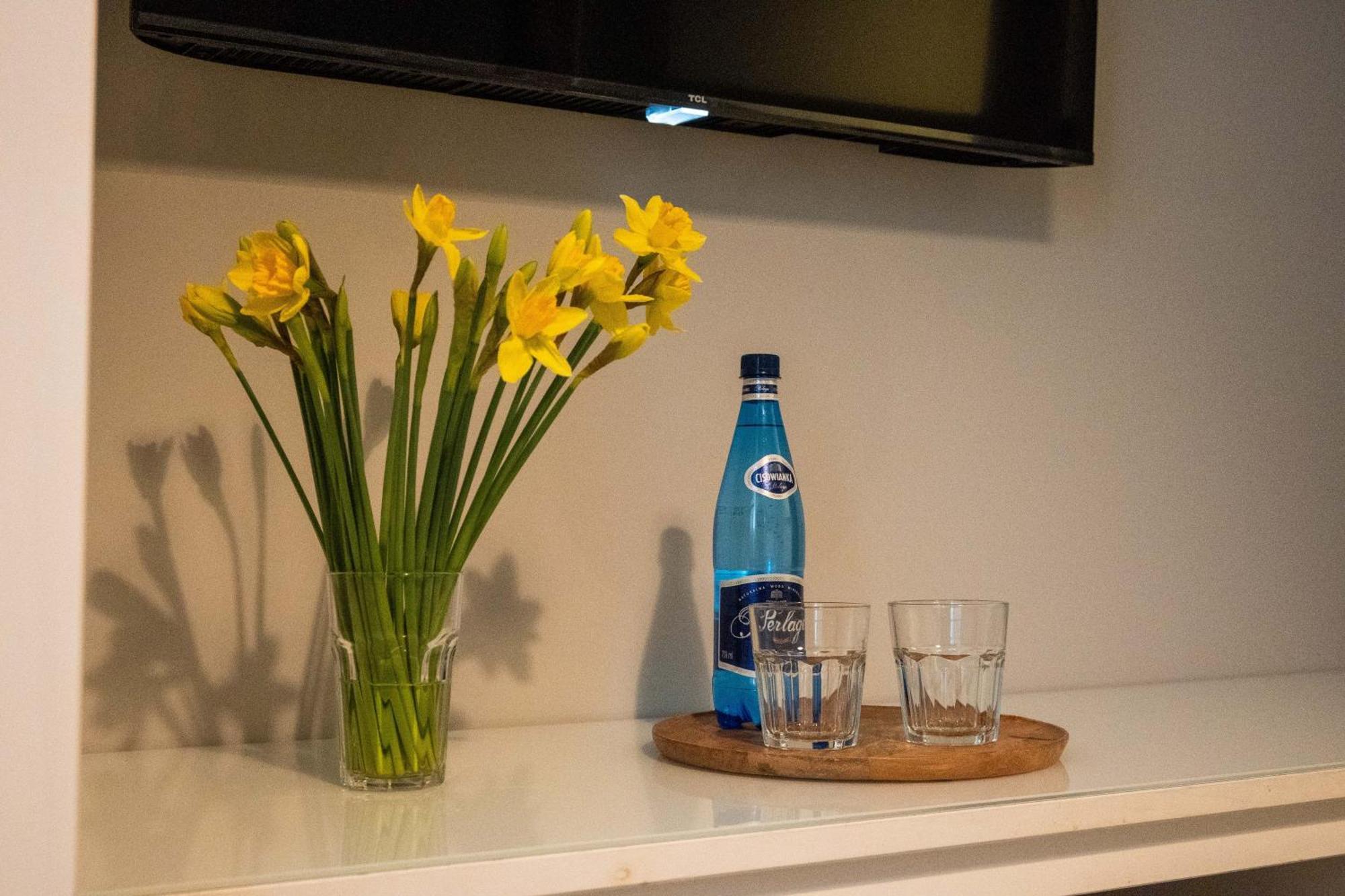 Apartament na Kaszubach Koscierzyna Bagian luar foto